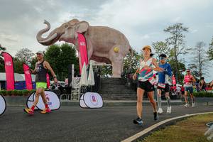 BIB: 
                            <button type="button" onclick="openModal(26528518)" class="btn btn-primary btn-sm float-right btn-popup" data-toggle="modal" data-target=".modal-high-quality">
                        <i class="fas fa-shopping-cart"></i> Add to Cart
                    </button>
                                            <button type="button" onclick="isThisMe(26528518, true)" class="btn btn-success btn-sm float-right btn-popup btn-isme hidden" data-toggle="tooltip" data-placement="bottom" title="นี่คือรูปของคุณใช่ไหม คลิกที่นี่เพื่อเอาเข้าอัลบั้ม">
                        <i class="fas fa-plus"></i> Add to album
                    </button>
                    <button type="button" onclick="isThisMe(26528518, false)" class="btn btn-warning btn-sm float-right btn-popup btn-isnotme hidden">
                        <i class="fas fa-ban"></i> Remove from album
                    </button>